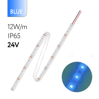 FL-Strip 2835 | 24V  IP65  BLUE  12W/m  1250Lm/m | Катушка - 5 метров | - Светодиодная лента FOTON LIGHTING