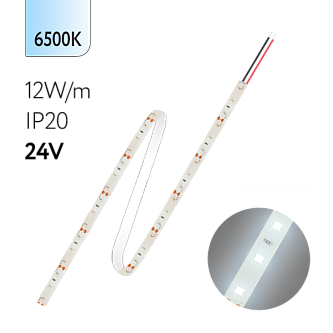 FL-Strip 2835 | 24V  IP20  6500K  12W/m  1250Lm/m | Катушка - 5 метров | - Светодиодная лента FOTON LIGHTING