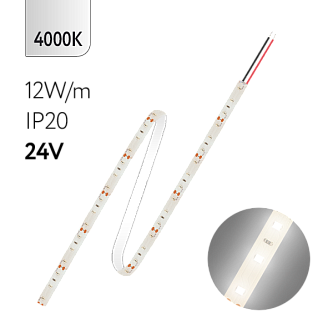 FL-Strip 2835 | 24V  IP20  4000K  12W/m  1250Lm/m | Катушка - 5 метров | - Светодиодная лента FOTON LIGHTING