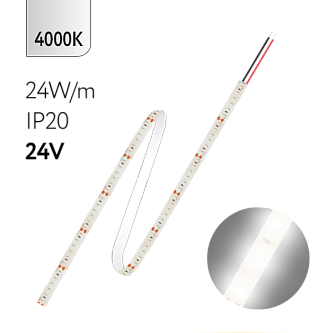 FL-Strip 2835 | 24V  IP20  4000K  24W/m  2500Lm/m | Катушка - 5 метров | - Светодиодная лента FOTON LIGHTING