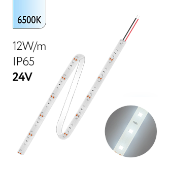 FL-Strip 2835 | 24V  IP65  6500K  12W/m  1250Lm/m | Катушка - 5 метров | - Светодиодная лента FOTON LIGHTING