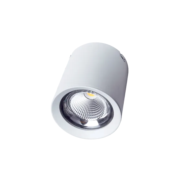 FL-LED 30W/3000K White  CUPSPOT Round  3000Lm 170*185мм - подвесной и накладной светодиодный светильник круглый FOTON LIGHTING